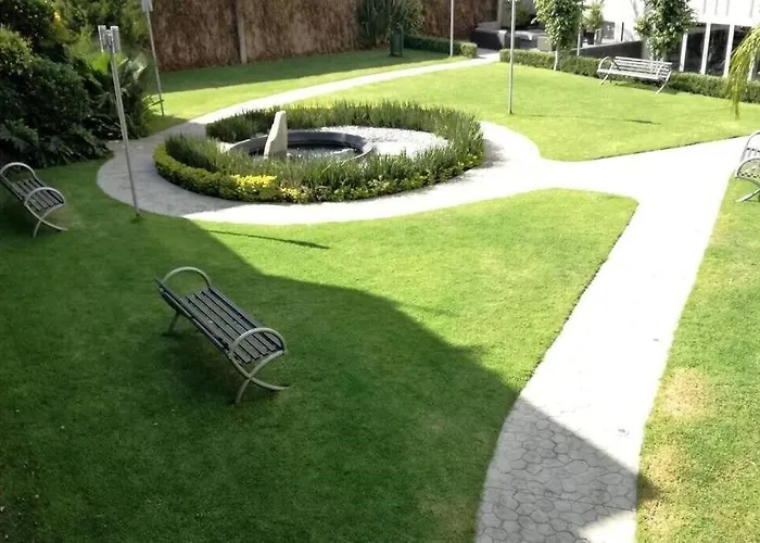 Tipo De 5 Estrellas En Zona Carso
